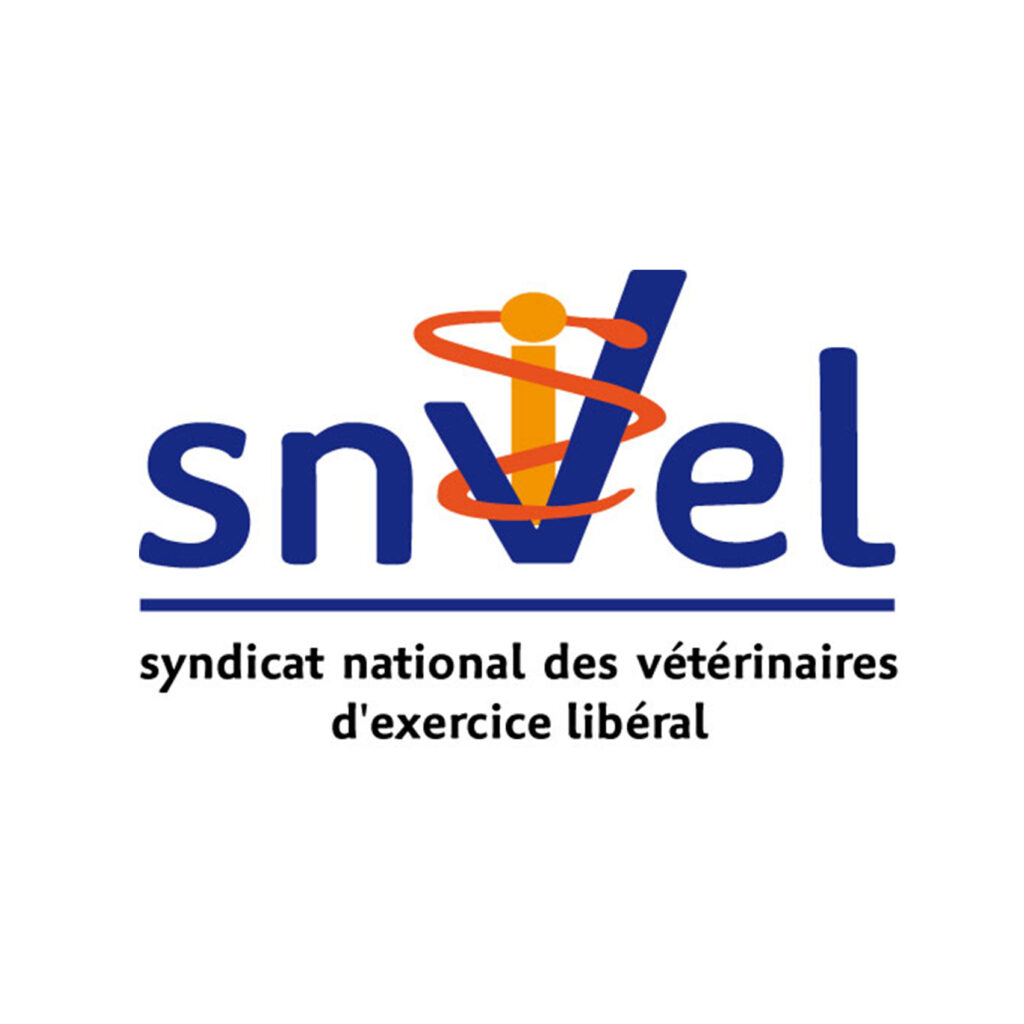 80 - logo